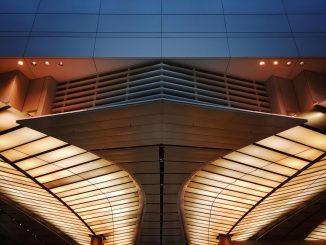 I was sending someone off at the airport when I looked up and noticed the symmetry in the design of the ceiling. After looking at the picture for a while, I realized that it resembled the human bodyâs diaphragm, in a wayâ¦ by the_roaming_platypus (Unsplash.com)