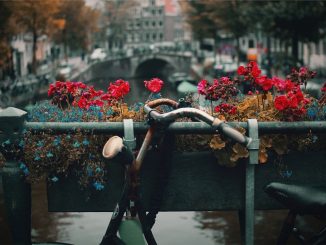 Bike in Amsterdam by nck (Unsplash.com)