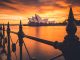 A stunning sunrise, captured behind the famous Sydney Opera House. Image taken at Circular Quay, Sydney, Australia. by liampozz (Unsplash.com)