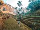 First morning of my backpacking trip around Bali. Woke up at 5 to meet up with a local I had never met which turned out to be the highlight of my trip. by jamie_fenn (Unsplash.com)