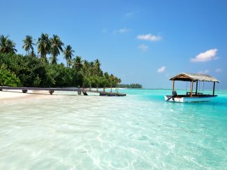 A fantastic beach on the island of Medhufushi in the Maldives. by imagefactory (Unsplash.com)