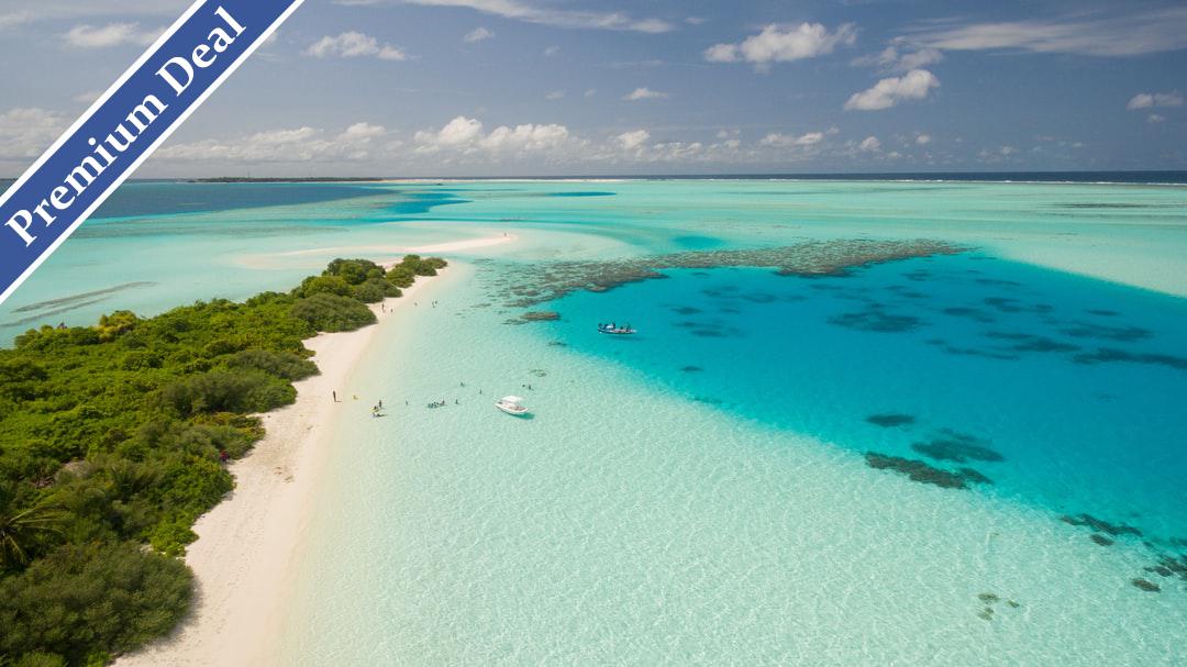 Caribbean Sale 300s And 400s American Airlines Notiflyr
