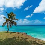 Africa On Sale (including Zanzibar!) (American Airlines, Qatar Airways)